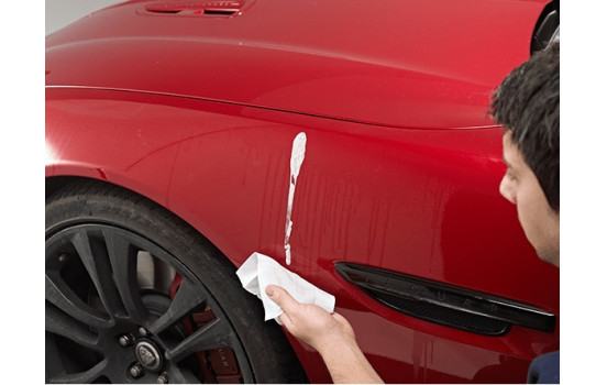 Toallitas para excrementos de pájaros Autoglym, Imagen 3