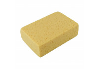 Esponja protectora