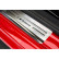Moldura de entrada 'Exclusiva' Skoda Fabia HB/Combi 2014 - 4 piezas, Miniatura 3