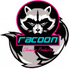 Racoon