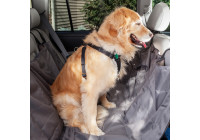 Pets Travel Large Dog Leash