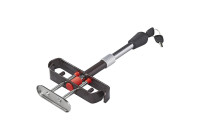 Pedal lock with two keys