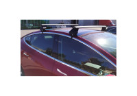 Twinny Load roof racks Aluminum suitable for Tesla Model 3
