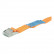 Luggage tie with buckle 25mm-5m