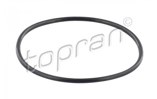 Packning, bränslepump