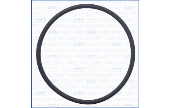 Packning, bränslepump