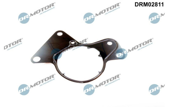 Packning, bränslepump