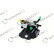 REMAN PUMP CR DFP6 DELPHI 28447441, miniatyr 3