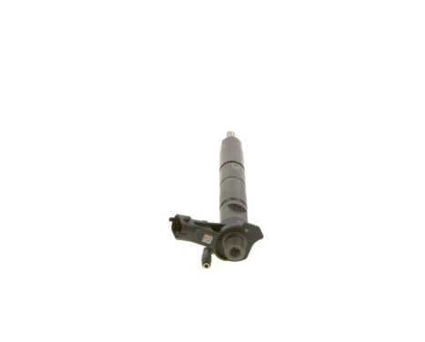 Atomizer näsa BX-CRI3-18 Bosch, bild 2