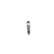Atomizer näsa CRIN18C;CR/IPL26ZIRIS30S Bosch, miniatyr 4