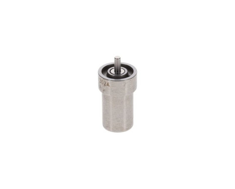 Atomizer näsa DN0SD302A Bosch, bild 3