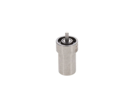 Atomizer näsa DN0SD302A Bosch, bild 4