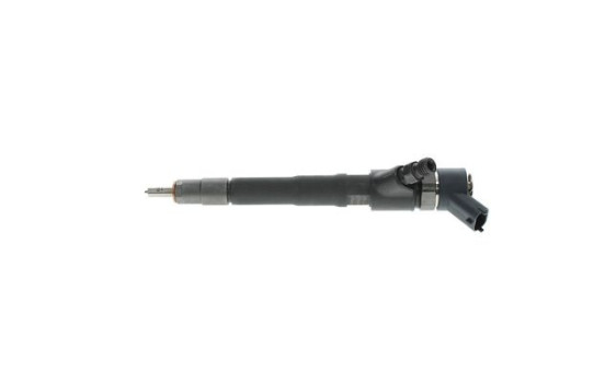 Injektor Bosch 0445110520