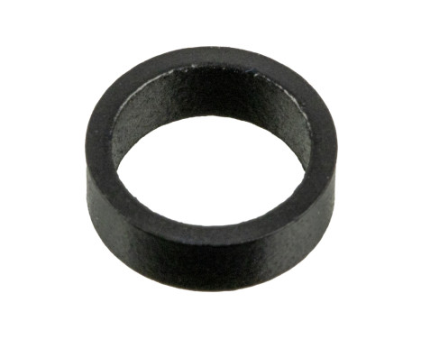 O-ring, instrutning 174303 FEBI