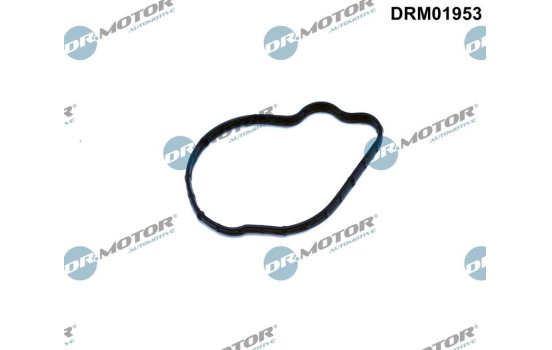 Packning, insprutningspump