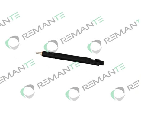 REMAN INJ CR DELPHI R00101D