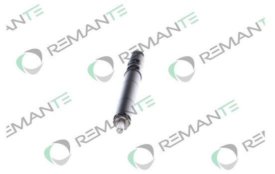 REMAN INJ CR DELPHI R01001A, bild 5