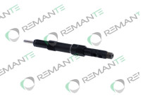 REMAN INJ CR DELPHI R01001D