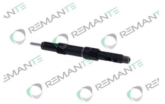 REMAN INJ CR DELPHI R01001D