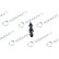 REMAN INJ CR DELPHI R01001D, miniatyr 2