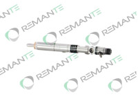 REMAN INJ CR DELPHI R05501D