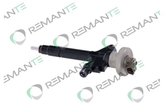 REMAN INJ CR DENSO 095000-5030