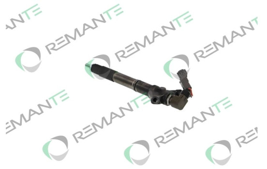 REMAN INJ CR DENSO 295900-0110