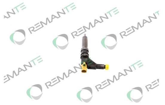 REMAN UIS DELPHI BEBJ1A01101, bild 2