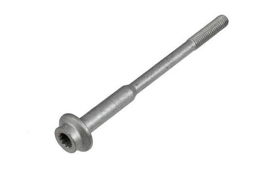 Skruv, munstyckshållare