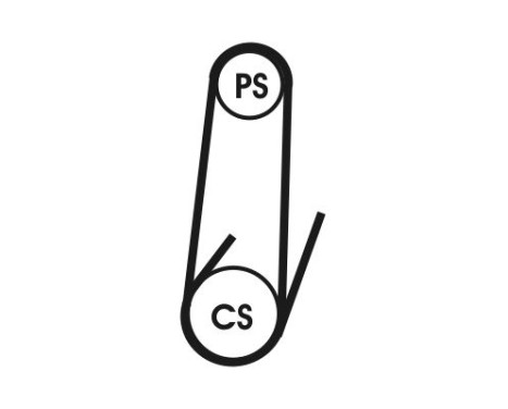 drivrem 4PK1022 ELAST Contitech, bild 3