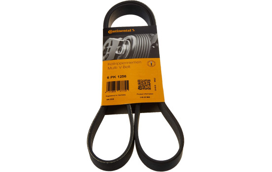 drivrem 6PK1256 Contitech