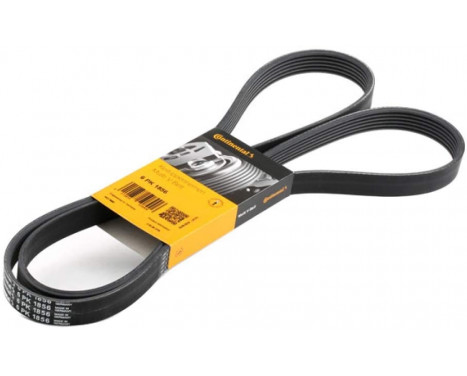 drivrem 6PK1856 Contitech