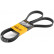 drivrem 6PK1856 Contitech