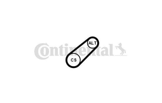 drivrem 6PK799 ELAST Contitech