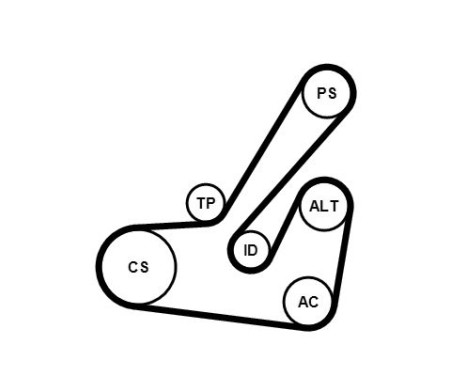 Drivremssats 6PK1145K2 Contitech, bild 2