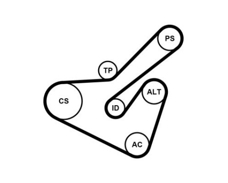 Drivremssats 6PK1725K2 Contitech, bild 2