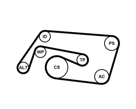 Drivremssats 6PK2260K2 Contitech, bild 2