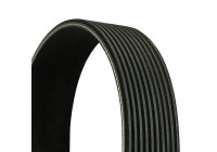 Flerspårsrem 10PK2210 Contitech