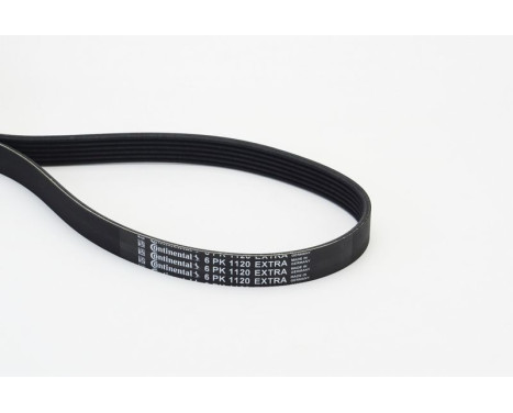 Multibälte 6PK1120EXTRA Contitech