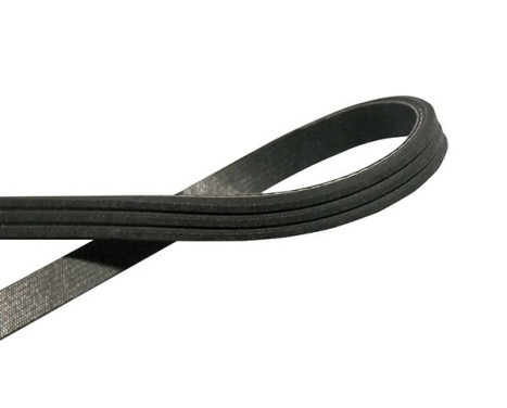 Multibälte DMV-6564 Kavo parts