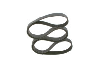 Multibälte