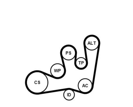 Multiremsats + vattenpump 6PK1642WP1 Contitech, bild 3