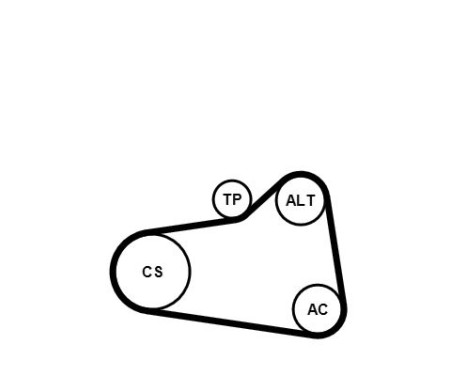 Multiremsats + vattenpump 6PK905 EXTRA WP1 Contitech, bild 2