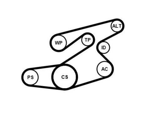 Multiremset 6PK1836K1 Contitech, bild 3