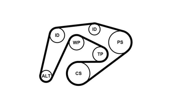 Multiremset 6PK2260K3 Contitech, bild 3