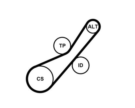 Multiremset 6PK800K2 Contitech, bild 2