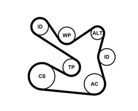 Multiremset 7PK1605K1 Contitech, bild 4
