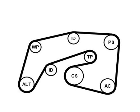 Multiremset 7PK2035K1 Contitech, bild 3