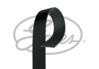 Poly kilrem 11PK2045HD Gates