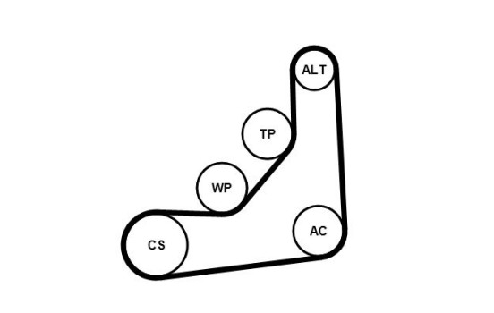 Poly kilremssats 6PK1153K3 Contitech, bild 3